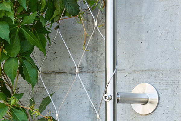 Fixation Mur Végétal Inox - Câble plante grimpante